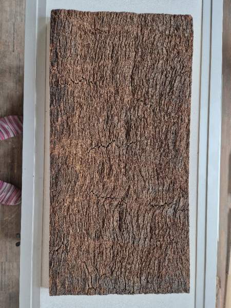 Korkrückwand aus einem Stück  60x30 cm
